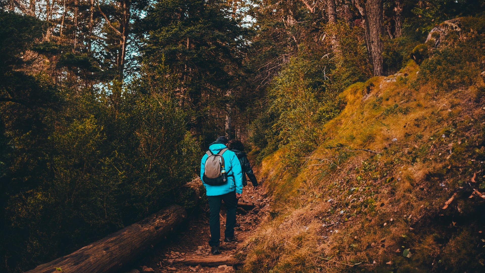 Top Hats for Exploring Colorado’s Hot Springs and Scenic Byways